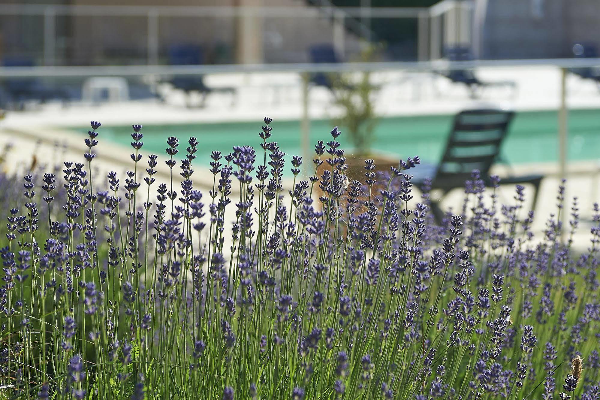 Cit'Hotel Les Alizés Limoges Exterior foto